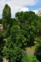 Fejér megye - Dunaújváros