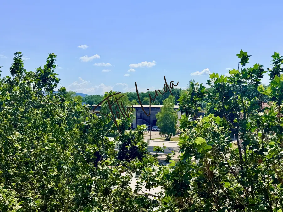 eladó téglalakás, Oroszlány