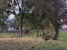 Zala megye - Petrivente