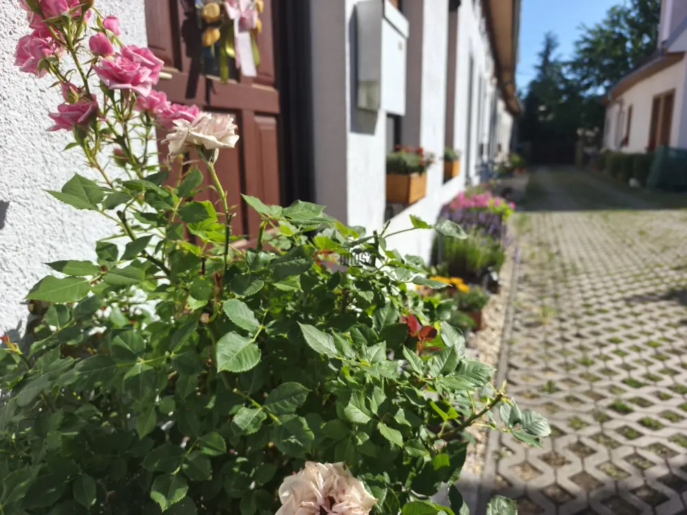 Győr-Moson-Sopron megye - Sopron