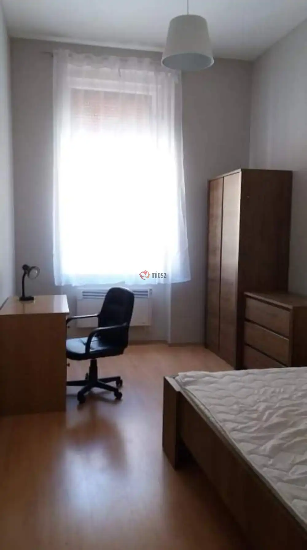 Csongrád megye - Szeged