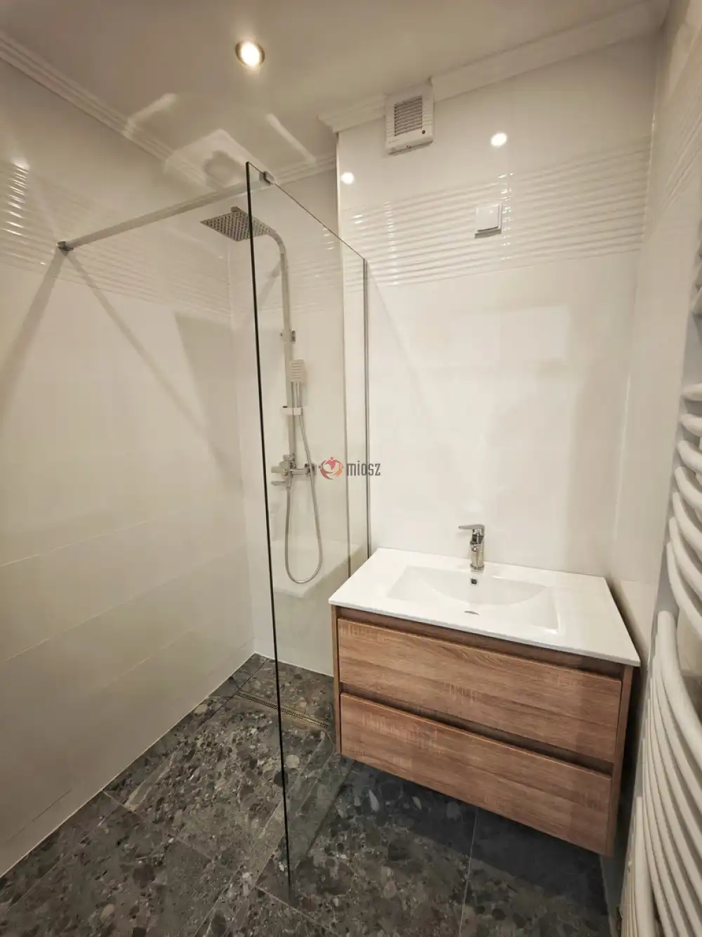 Csongrád megye - Szeged