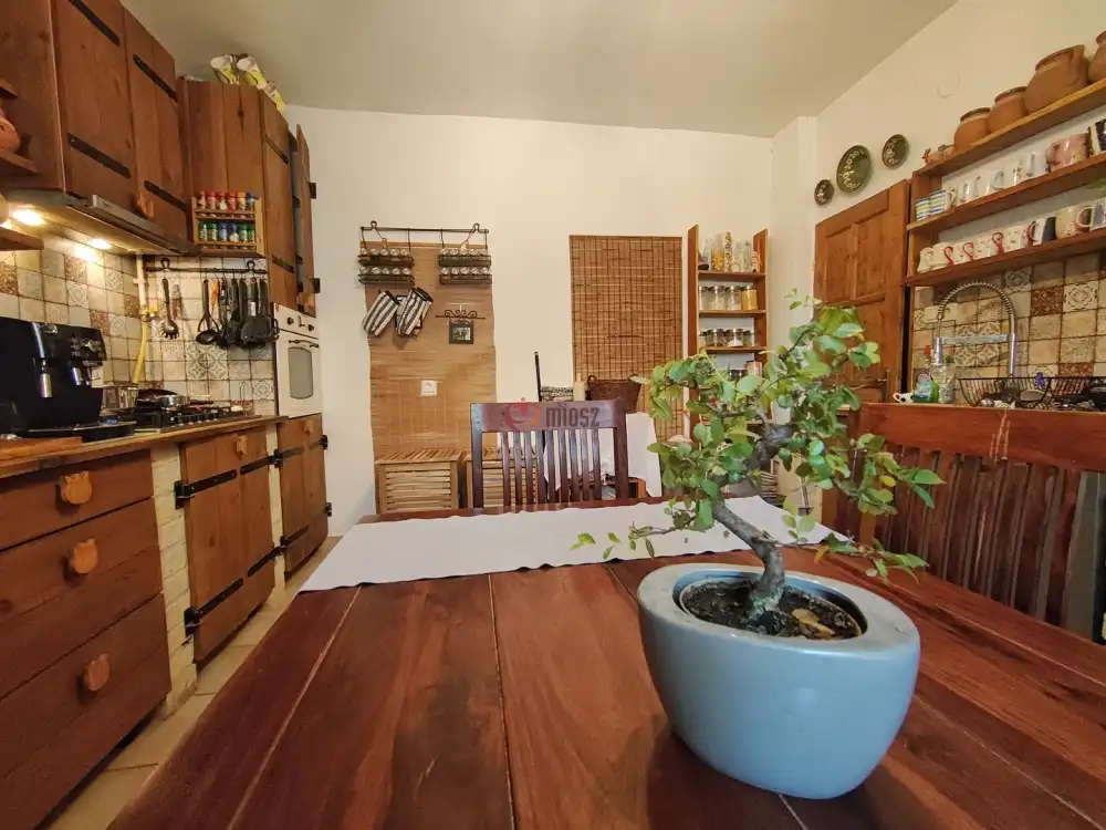 Csongrád megye - Szeged