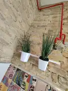 Csongrád megye - Szeged