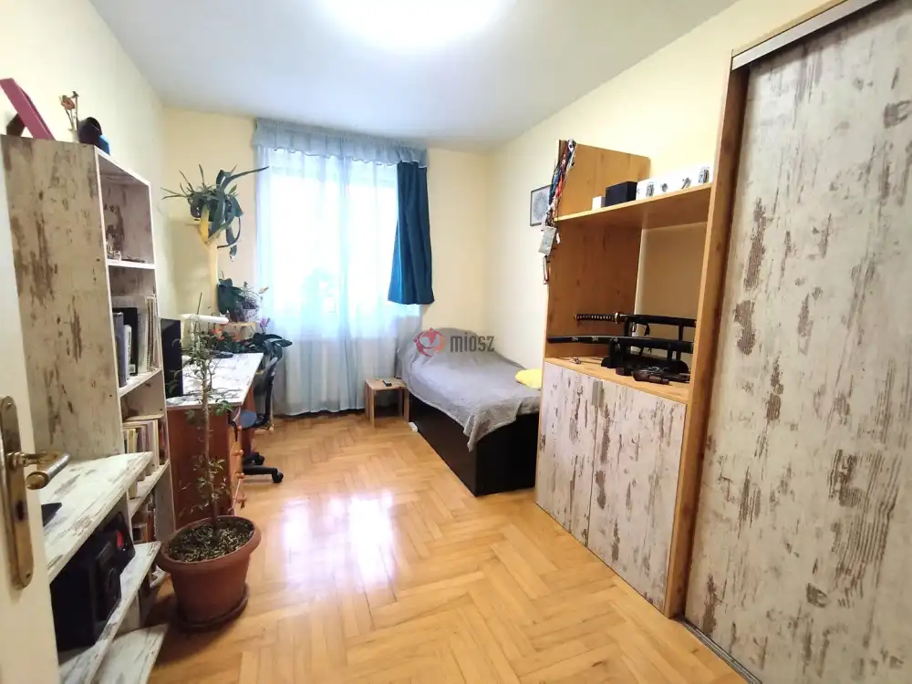 Csongrád megye - Szeged