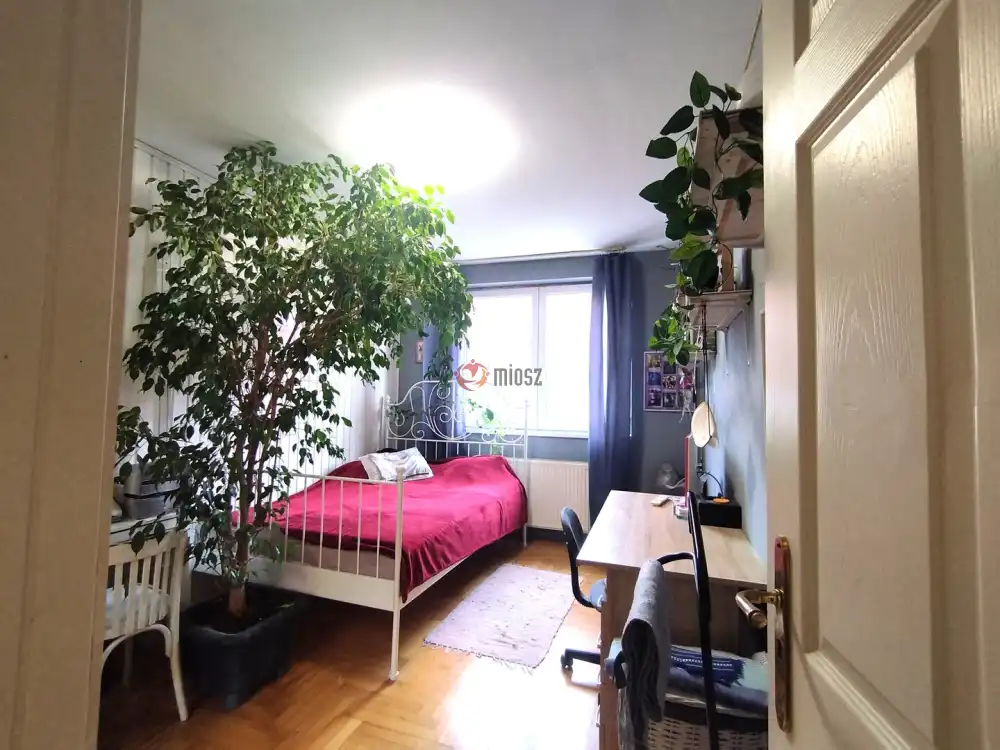 Csongrád megye - Szeged