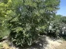 Fejér megye - Székesfehérvár