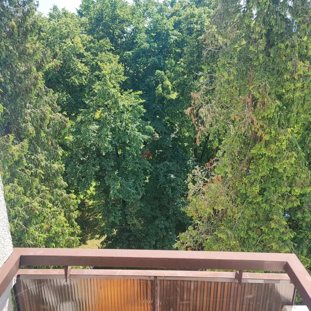 Zala megye - Zalaegerszeg