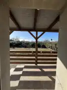 Pest megye - Kartal