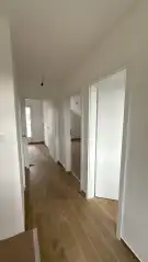 Győr-Moson-Sopron megye - Levél