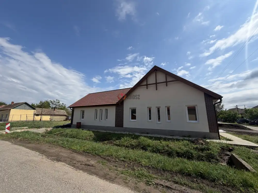 Csongrád megye - Mindszent