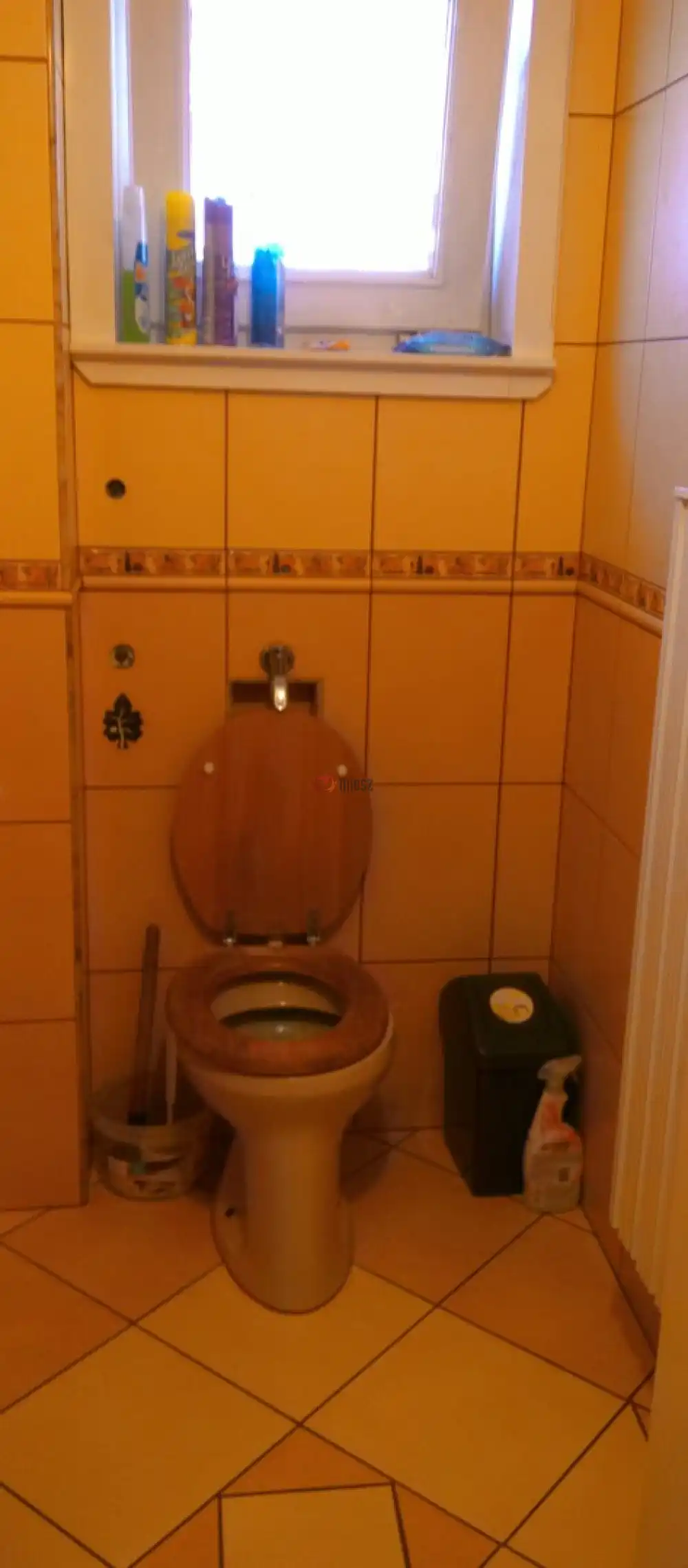 Pest megye - Albertirsa