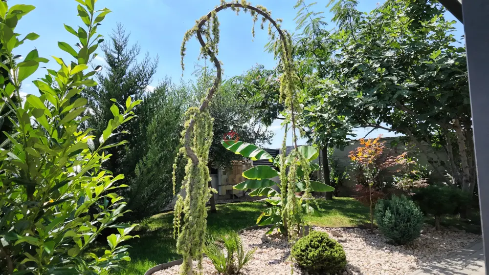Győr-Moson-Sopron megye - Levél