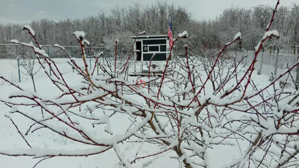 Somogy megye - Siójut