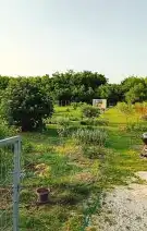 Somogy megye - Siójut