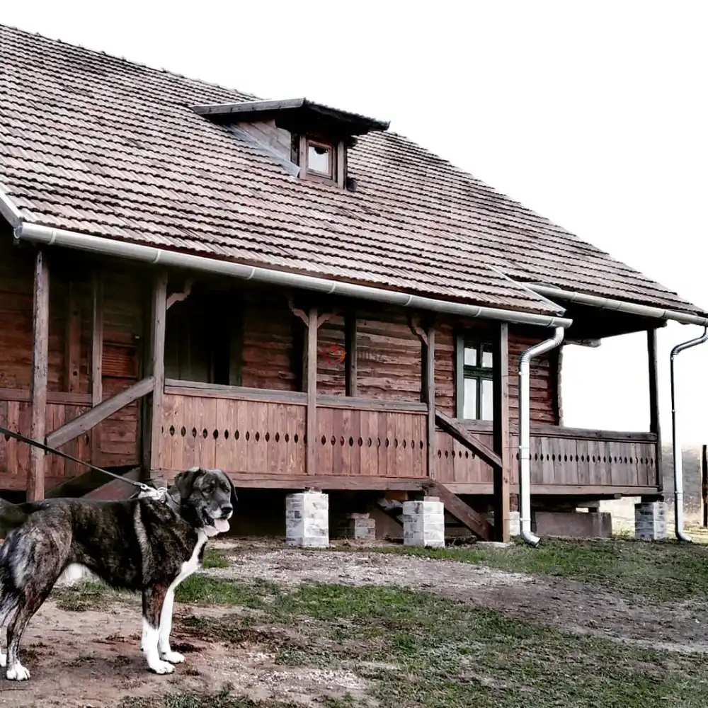 Pest megye - Szokolya