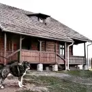 Pest megye - Szokolya