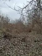 Pest megye - Tóalmás