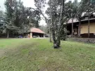 Pest megye - Göd