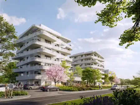 Paskal Rose2, Alsórákos 