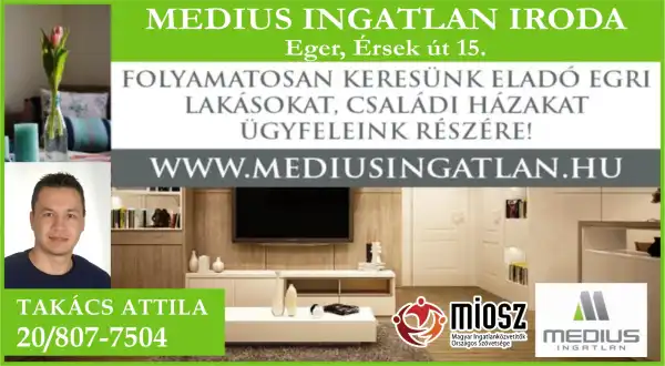 Medius Ingatlan